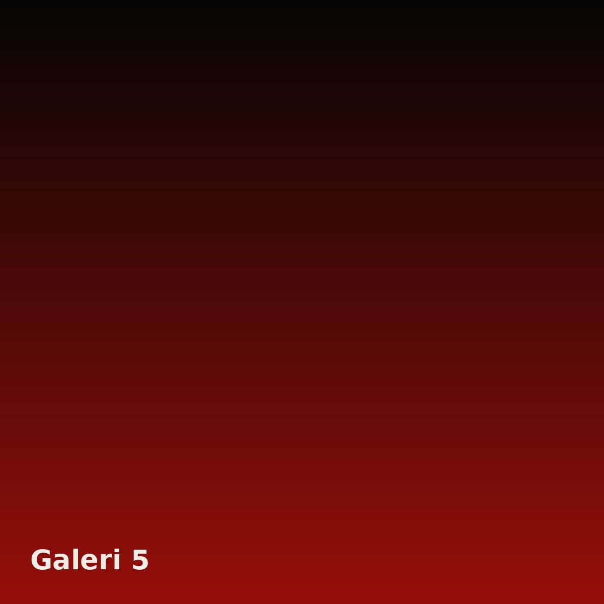 Galeri fotoğrafı 5