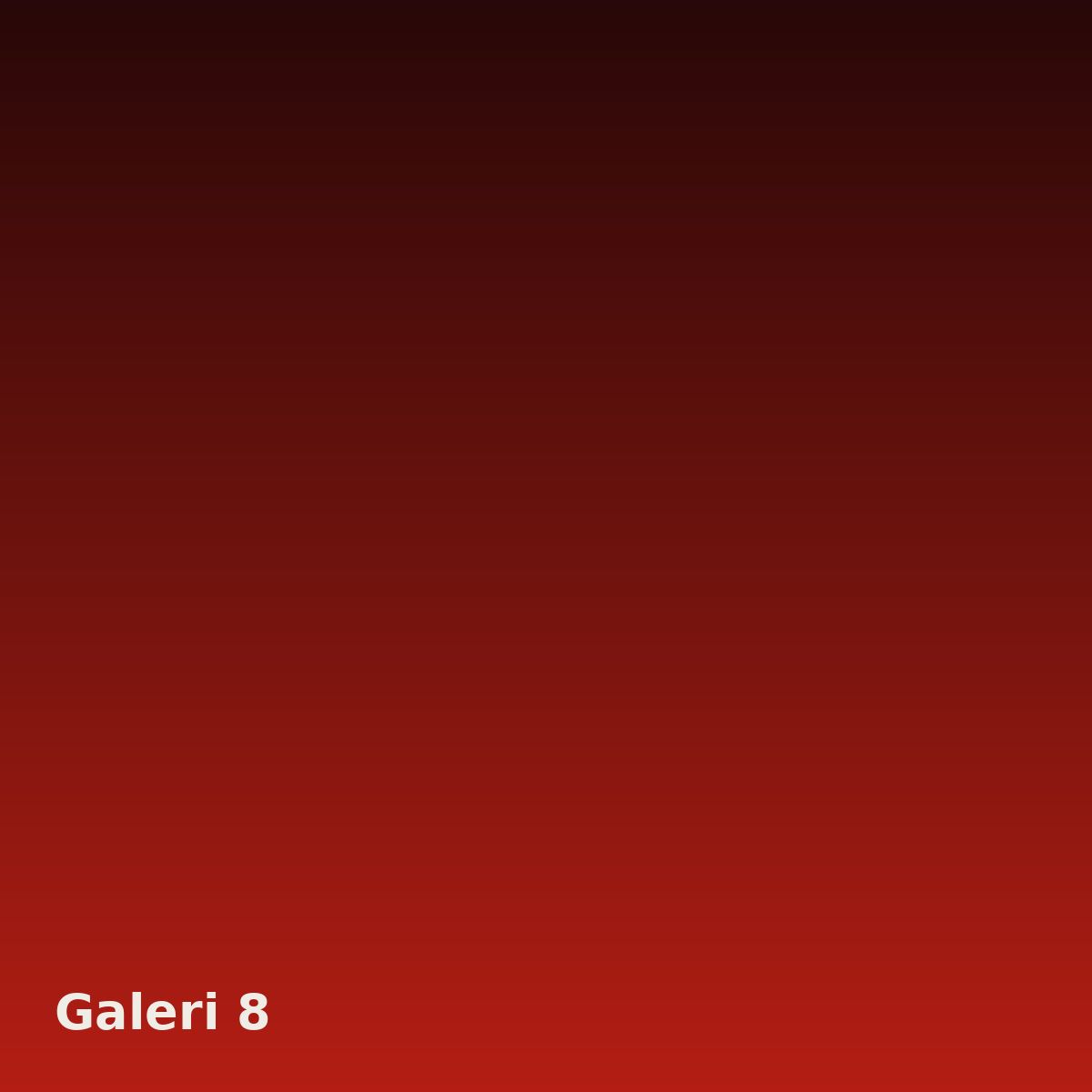 Galeri fotoğrafı 8
